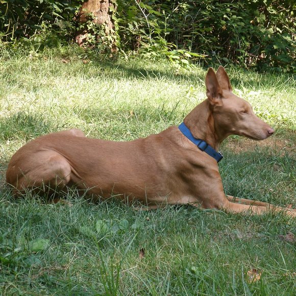 Hello everyone! I'm Kirin! - Picture 13 of 13